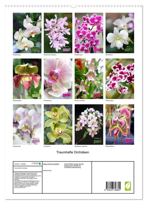 Traumhafte Orchideen (CALVENDO Premium Wandkalender 2026)
