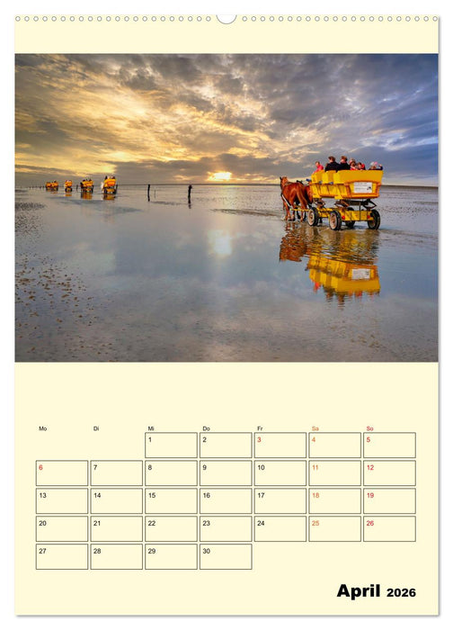 Meine geliebte Nordsee (CALVENDO Premium Wandkalender 2026)