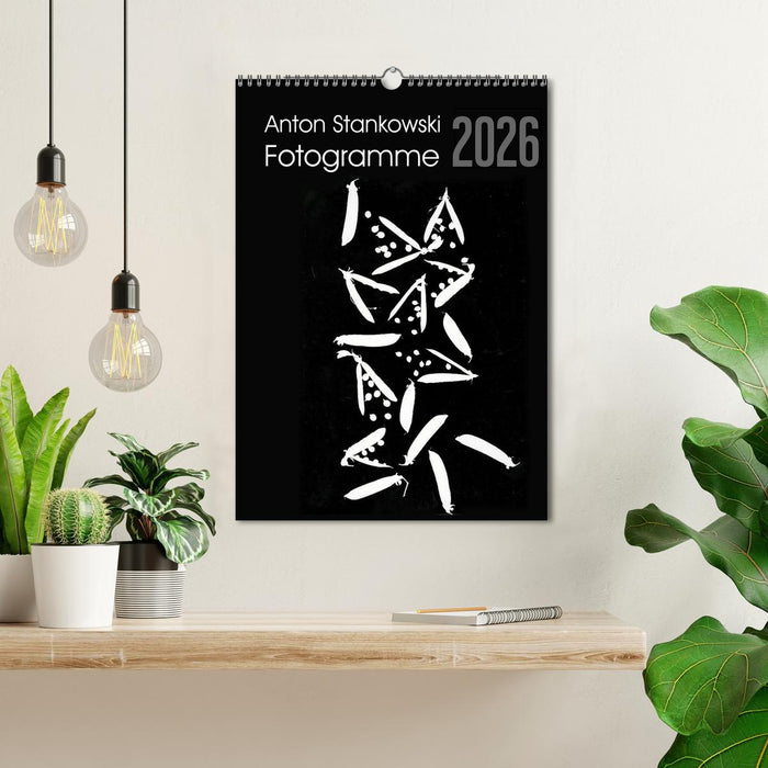 Anton Stankowski Fotogramme (CALVENDO Wandkalender 2026)