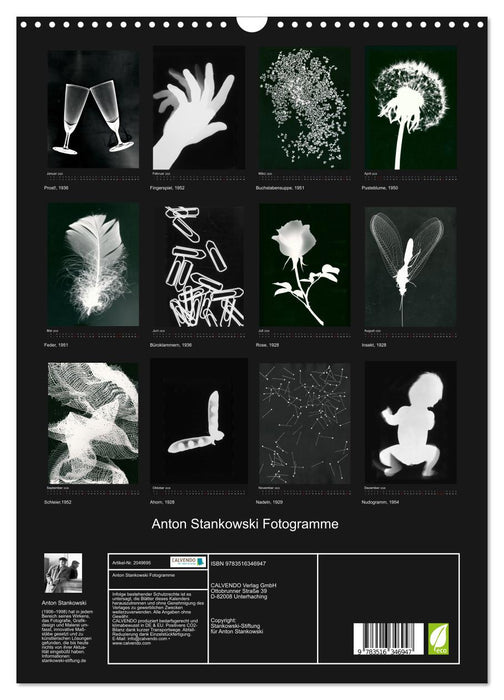 Anton Stankowski Fotogramme (CALVENDO Wandkalender 2026)