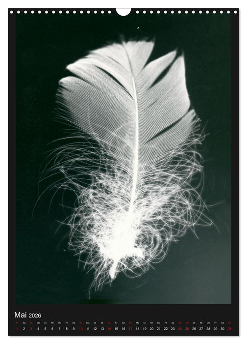 Anton Stankowski Fotogramme (CALVENDO Wandkalender 2026)