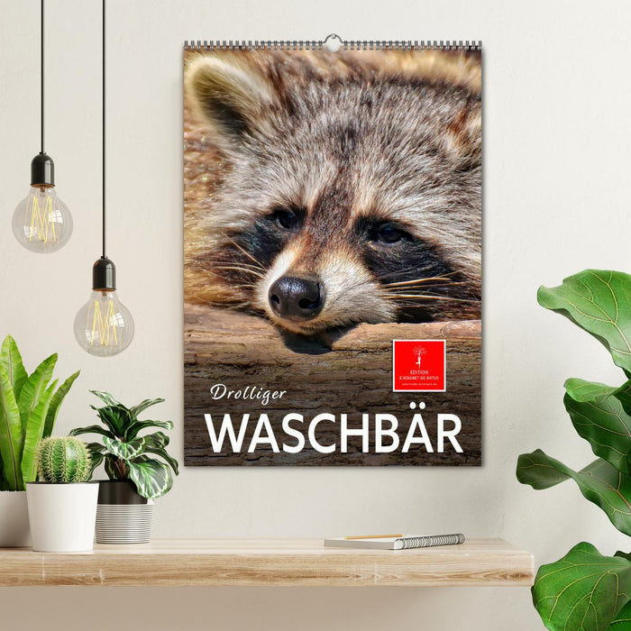 Drolliger Waschbär (CALVENDO Wandkalender 2026)