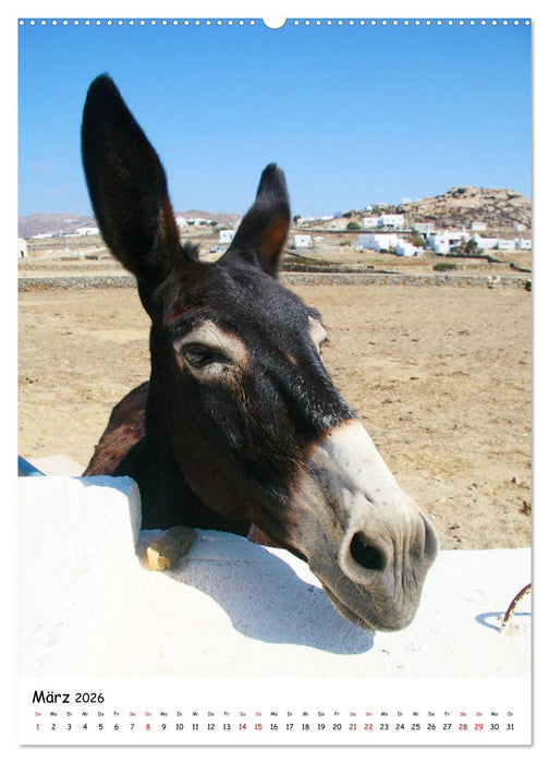 Griechenland - Reiselust (CALVENDO Premium Wandkalender 2026)