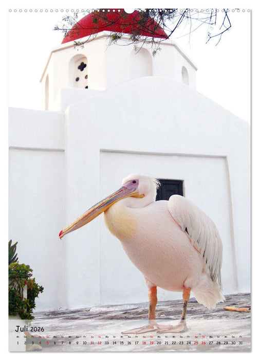 Griechenland - Reiselust (CALVENDO Premium Wandkalender 2026)