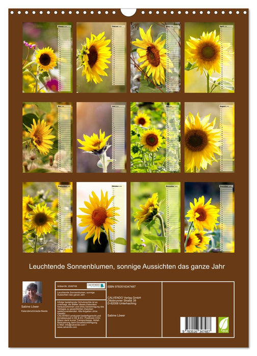 Leuchtende Sonnenblumen, sonnige Aussichten das ganze Jahr (CALVENDO Wandkalender 2026)