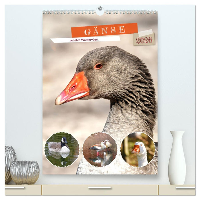 Gänse, geliebte Wasservögel (CALVENDO Premium Wandkalender 2026)