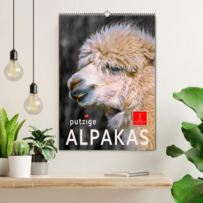 Putzige Alpakas (CALVENDO Wandkalender 2026)