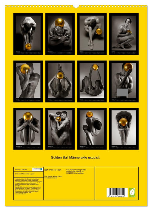 Golden Ball Männerakte exquisit (CALVENDO Premium Wandkalender 2026)