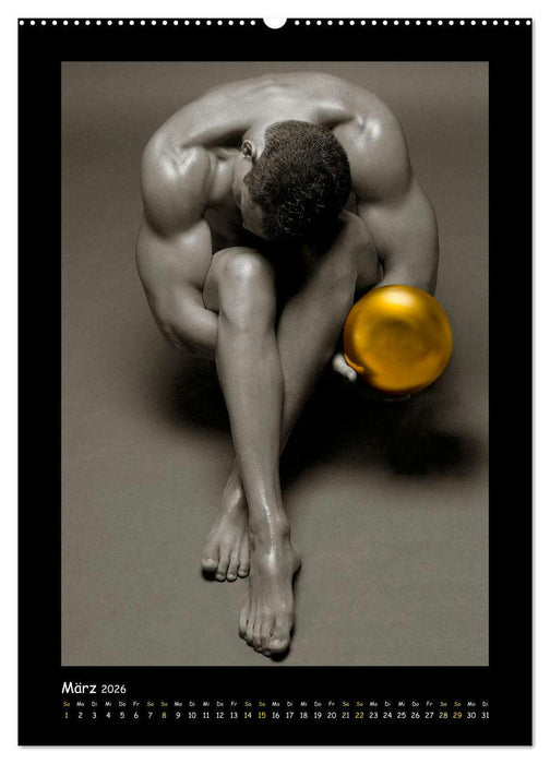 Golden Ball Männerakte exquisit (CALVENDO Premium Wandkalender 2026)
