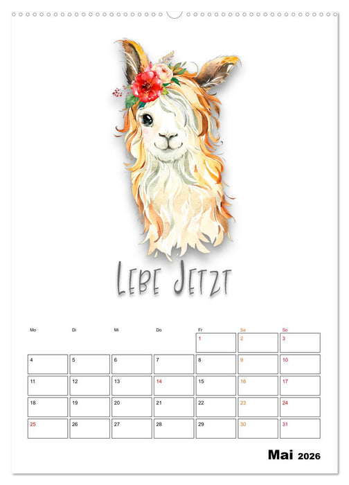 Bleib cool - Gute-Laune-Kalender (CALVENDO Wandkalender 2026)