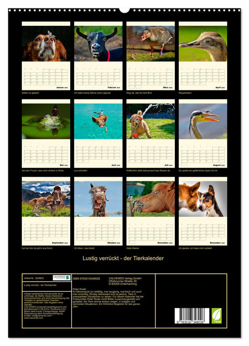 Lustig verrückt - der Tierkalender (CALVENDO Premium Wandkalender 2026)