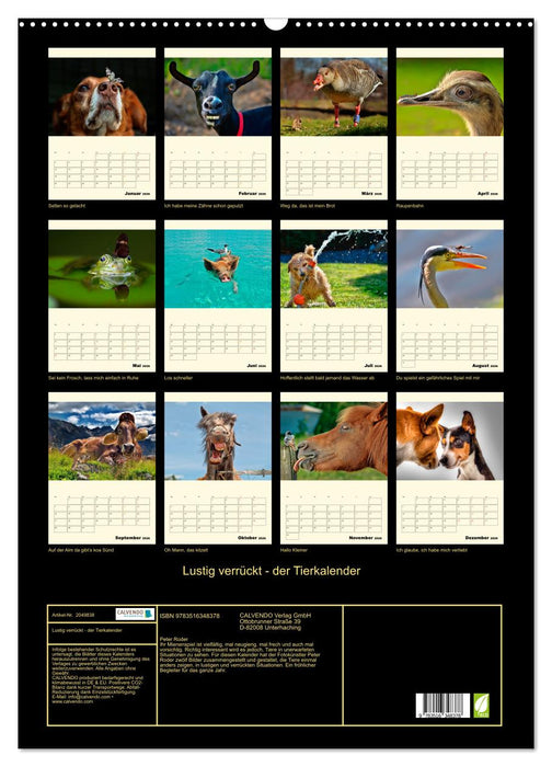 Lustig verrückt - der Tierkalender (CALVENDO Wandkalender 2026)