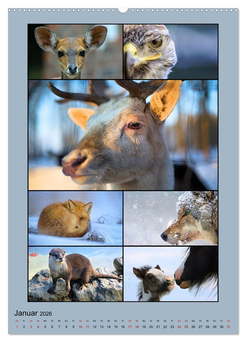 Farbsymphonien der Natur (CALVENDO Premium Wandkalender 2026)