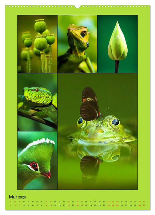 Farbsymphonien der Natur (CALVENDO Premium Wandkalender 2026)