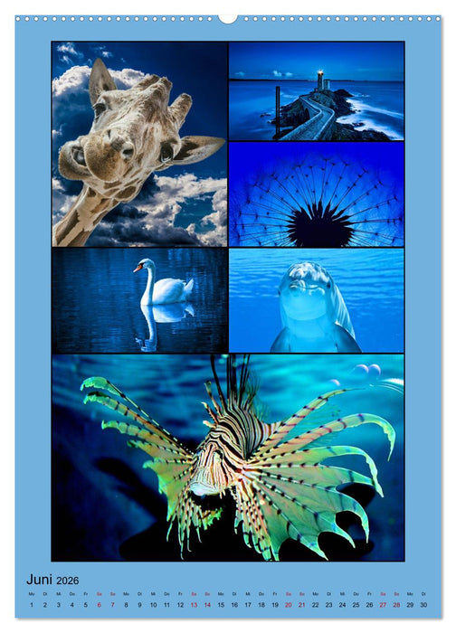 Farbsymphonien der Natur (CALVENDO Premium Wandkalender 2026)