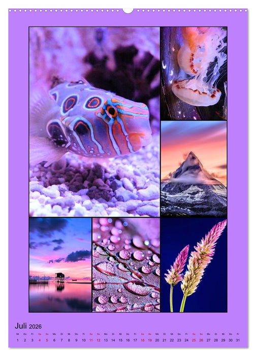 Farbsymphonien der Natur (CALVENDO Premium Wandkalender 2026)