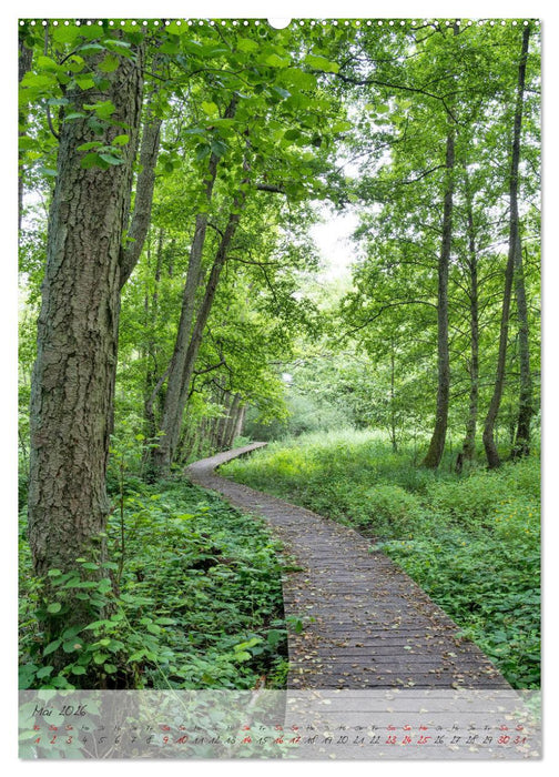 Wegberger Umland (CALVENDO Wandkalender 2026)