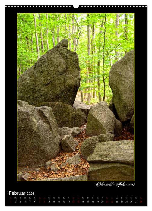 Unterwegs in Deutschland Landschaften (CALVENDO Wandkalender 2026)