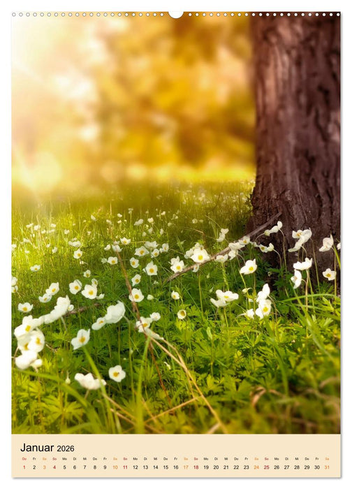 Landhaus Träumereien (CALVENDO Premium Wandkalender 2026)