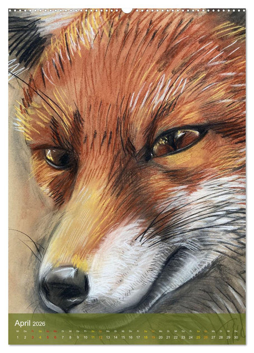 Augenblicke - Tierporträts (CALVENDO Wandkalender 2026)