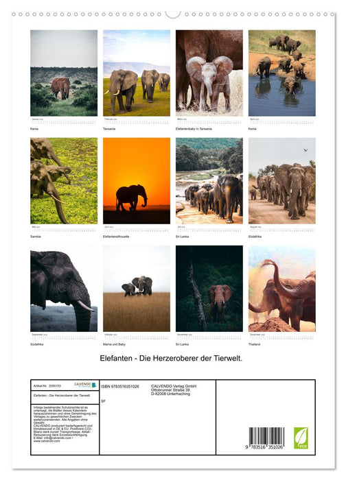 Elefanten - Die Herzeroberer der Tierwelt. (CALVENDO Premium Wandkalender 2026)
