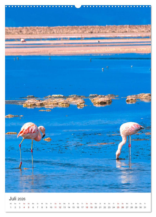 Chile - Ein unentdecktes Paradies. (CALVENDO Premium Wandkalender 2026)