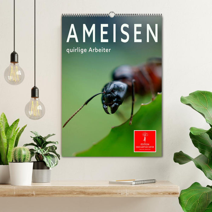 Ameisen quirlige Arbeiter (CALVENDO Wandkalender 2026)