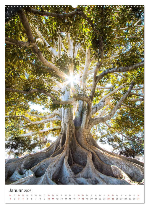 Kalifornien - Eine einzigartige Entdeckungsreise. (CALVENDO Premium Wandkalender 2026)