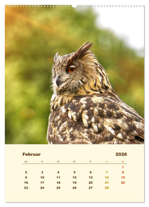 Uhu, die Faszination bernsteinfarbener Augen (CALVENDO Wandkalender 2026)