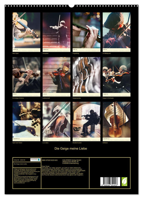 Die Geige meine Liebe (CALVENDO Wandkalender 2026)