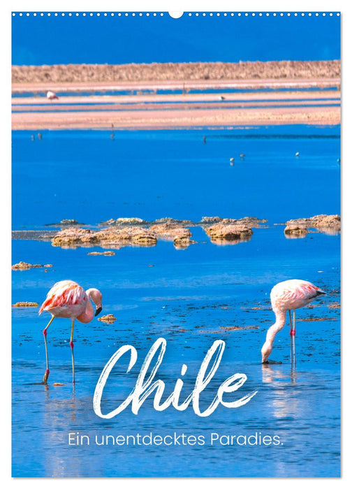 Chile - Ein unentdecktes Paradies. (CALVENDO Wandkalender 2026)