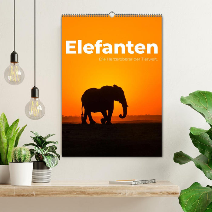 Elefanten - Die Herzeroberer der Tierwelt. (CALVENDO Wandkalender 2026)