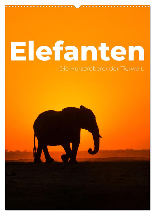 Elefanten - Die Herzeroberer der Tierwelt. (CALVENDO Wandkalender 2026)