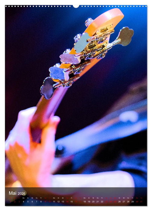 Rockgitarren in Concert (CALVENDO Premium Wandkalender 2026)