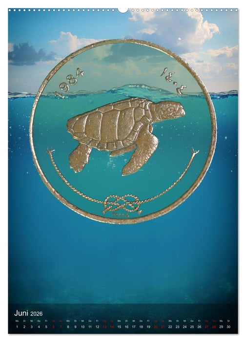 Münzen - Geld aus aller Welt (CALVENDO Premium Wandkalender 2026)