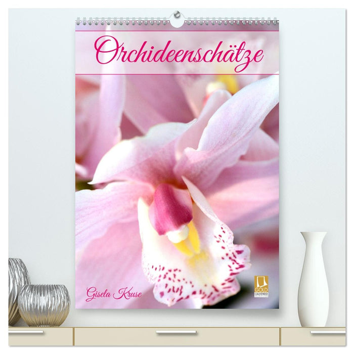 Orchideenschätze (CALVENDO Premium Wandkalender 2026)