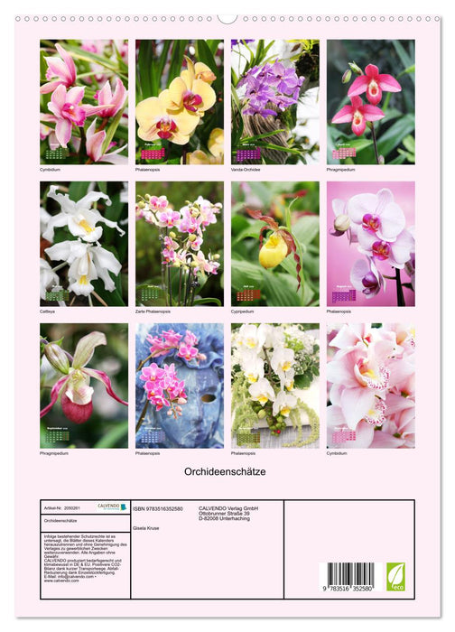 Orchideenschätze (CALVENDO Premium Wandkalender 2026)