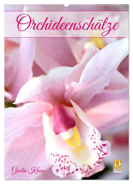 Orchideenschätze (CALVENDO Wandkalender 2026)