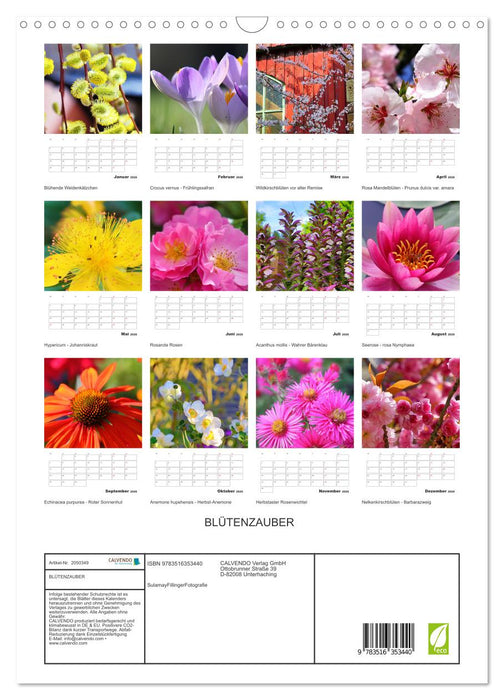 BLÜTENZAUBER (CALVENDO Wandkalender 2026)