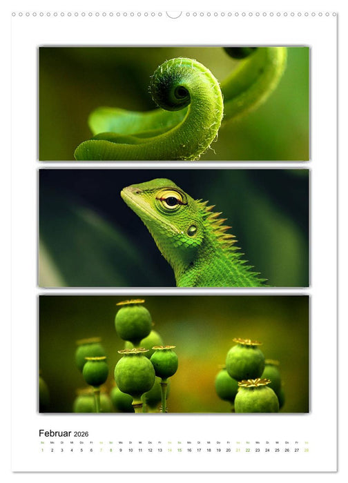 Farbsymphonien unserer Welt (CALVENDO Premium Wandkalender 2026)