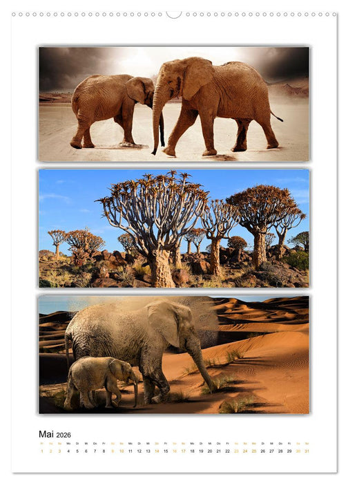 Farbsymphonien unserer Welt (CALVENDO Premium Wandkalender 2026)