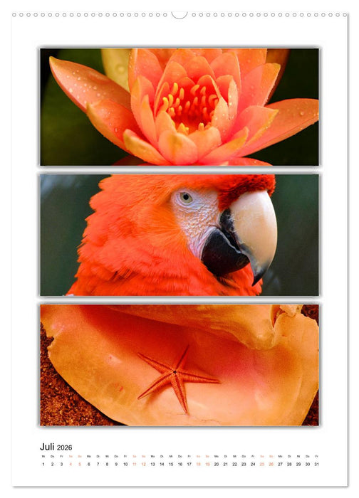 Farbsymphonien unserer Welt (CALVENDO Premium Wandkalender 2026)