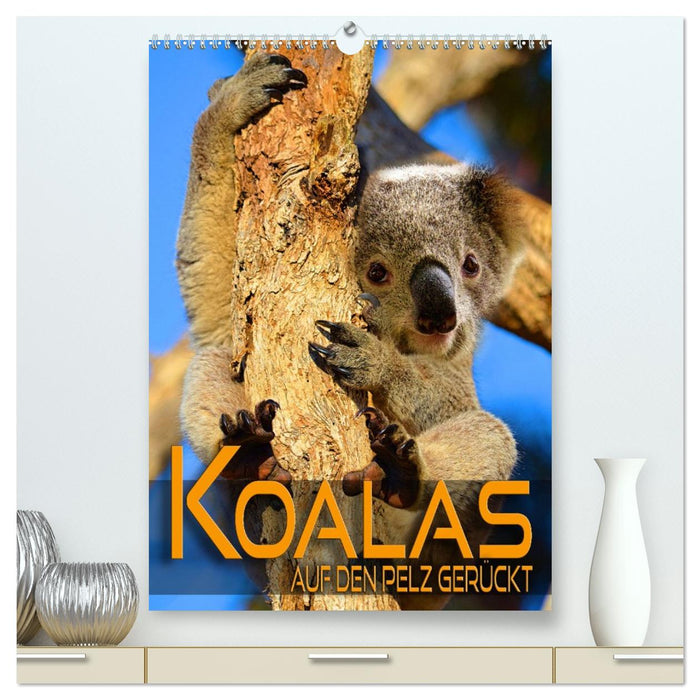 Koalas auf den Pelz gerückt (CALVENDO Premium Wandkalender 2026)