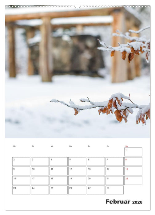 Wittgenstein – Eine Region mit beeindruckend schöner Landschaft (CALVENDO Premium Wandkalender 2026)