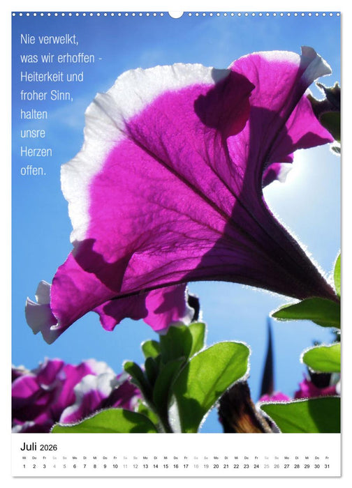 Licht Farbe Natur (CALVENDO Premium Wandkalender 2026)