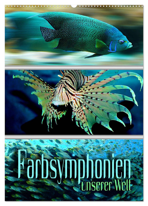 Farbsymphonien unserer Welt (CALVENDO Wandkalender 2026)