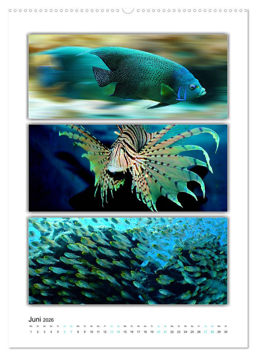 Farbsymphonien unserer Welt (CALVENDO Wandkalender 2026)