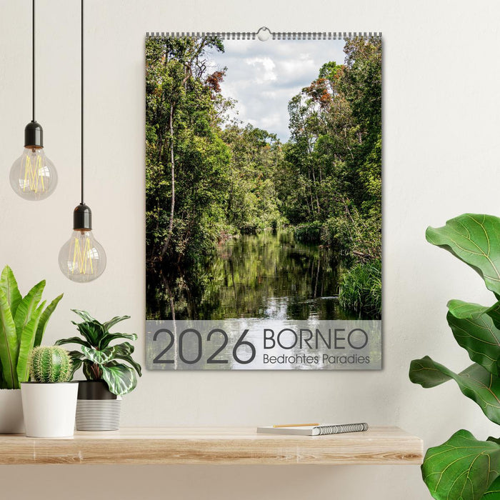BORNEO Bedrohtes Paradies (CALVENDO Wandkalender 2026)
