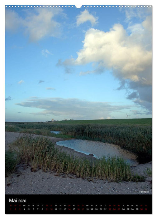 Strandgeflüster Kalender (CALVENDO Wandkalender 2026)