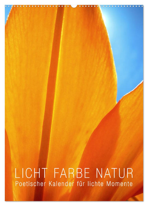 Licht Farbe Natur (CALVENDO Wandkalender 2026)